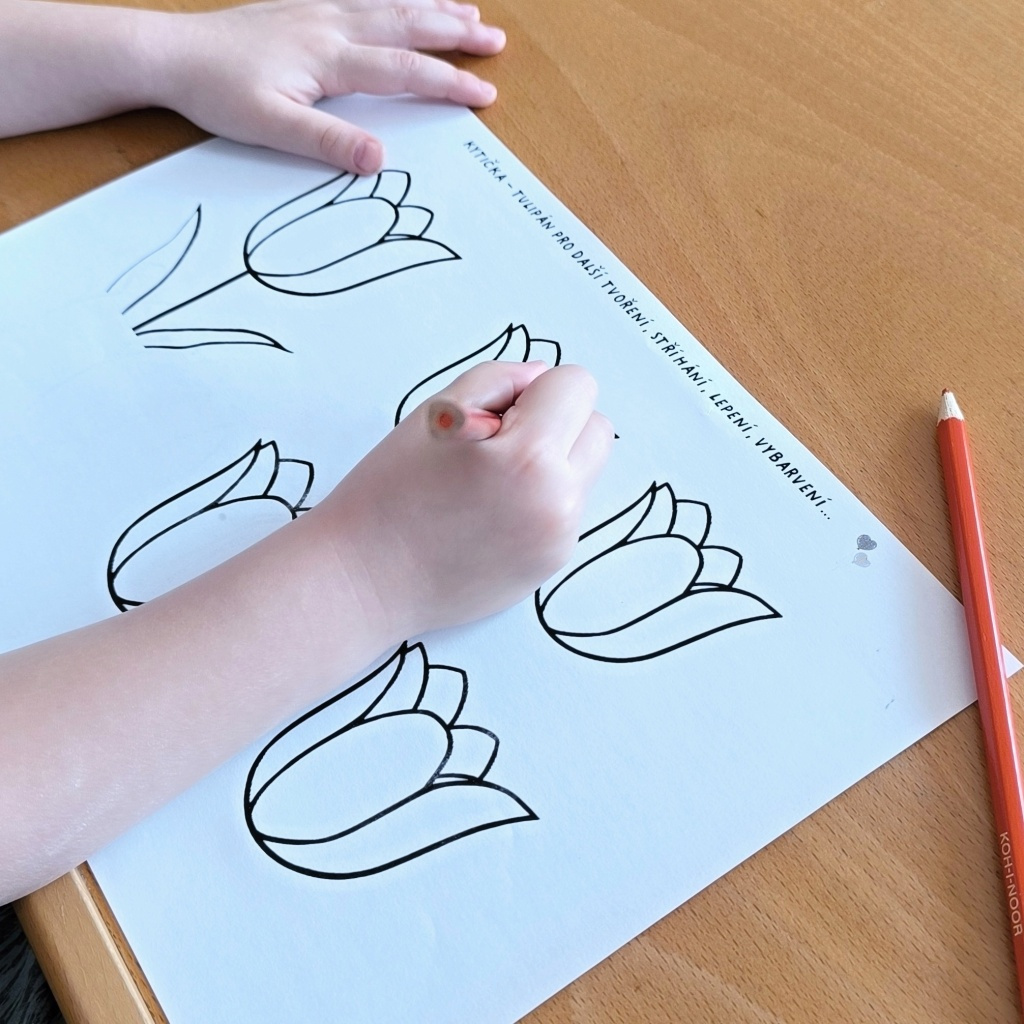 Kytička papírová skládačka tulipán přání MDŽ jarní aktivity-5